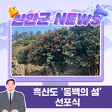흑산도 ‘동백의 섬’ 선포식