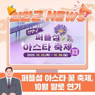 신안 퍼플섬 아스타 꽃 축제, 10월 말로 연기