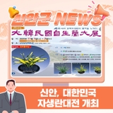 2025 대한민국자생란대전, 신안 압해도에서 개최