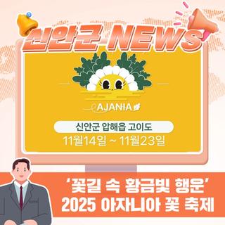 꽃길 속 황금빛 행운, 2025 아자니아 꽃 축제