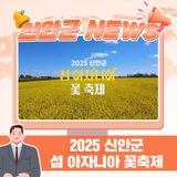 2025 신안군 섬 아자니아 꽃축제