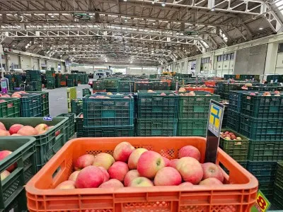 농협 공판장 인터넷 통합거래시스템