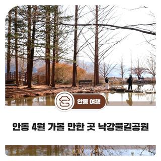 안동 4월 가볼 만한 곳 낙강물길공원