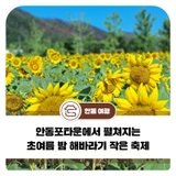 안동포타운에서 펼쳐지는 초여름 밤 해바라기 작은 축제