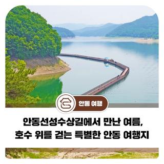 안동 가볼만한곳 안동선성수상길에서 만난 여름, 호수 위를 걷는 특별한 안동 여행지