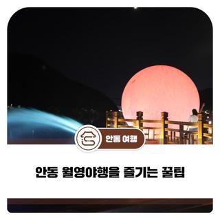 안동 월영야행을 즐기는 꿀팁