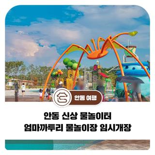 안동 신상 물놀이터 엄마까투리 물놀이장 임시개장