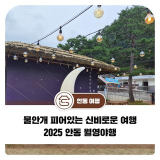 물안개 피어있는 신비로운 여행, 2025 안동 월영야행(후기)