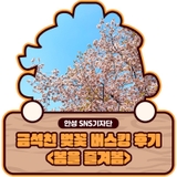 금석천 벚꽃 버스킹 후기 <봄을 즐겨봄>
