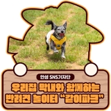 우리집 막내와 함께하는 반려견 놀이터 "같이파크"