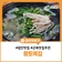 함안 맛집 먹을수록 반하는 맛. 따뜻한 복국의 정석 황토복집
