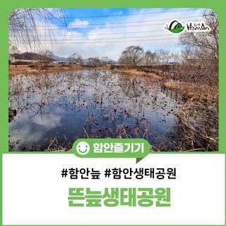 함안 뜬늪 생태공원, 봄을 준비하는 겨울풍경