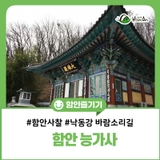 함안 능가사에서 만난 고요한 쉼표, 자연과 어우러진 힐링 여행
