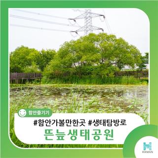 함안 정원 아닌, 습지 체험! 뜬늪생태공원 자연 탐험기