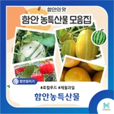 알수록 매력 넘치는 함안의 자랑, 함안 농특산물