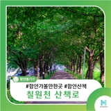 함안 현지인이 추천하는 걷기 좋은 길, 칠원천 산책로