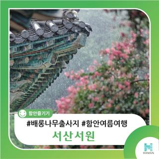 [함안 배롱나무 출사지] 비 오는 날의 감성을 가득 품은 여름날의 서산서원과 배롱나무