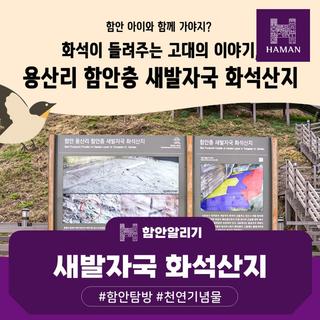 화석이 들려주는 고대의 이야기, 용산리 함안층 새발자국 화석산지