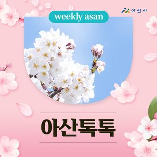 4월 1주차 아산소식 '아산톡톡'