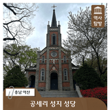 충남 아산 가볼만한곳 추천! 공세리성당 봄꽃 여행보고서