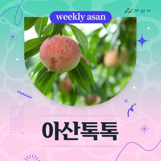 8월 3주차 '아산톡톡'