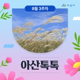 9월 3주차 '아산톡톡'