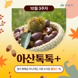 10월 3주차 '아산톡톡+'