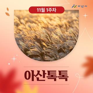 11월 1주차 '아산톡톡'