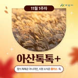 11월 1주차 '아산톡톡+'