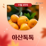 11월 3주차 '아산톡톡'