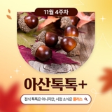 11월 4주차 '아산톡톡+'