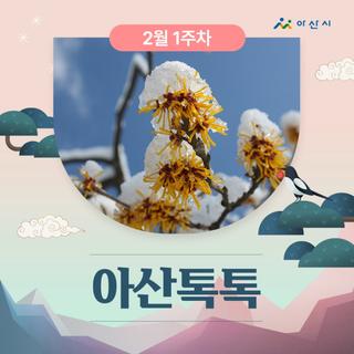 2월 1주차 '아산톡톡'