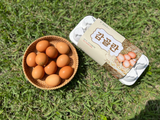 신선함이 남다른 보은 감골란(맛있는 계란 추천)