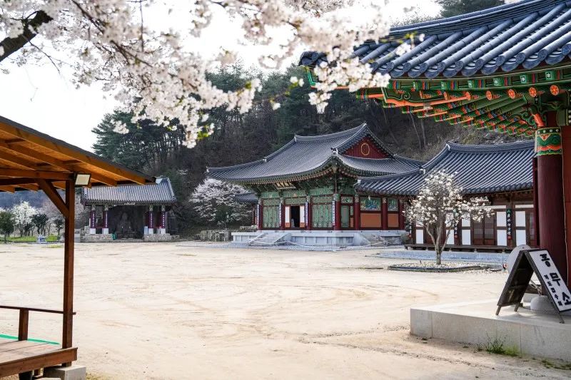2024 봉화군 서포터즈] 봉화를 대표하는 사찰인 지림사에서 만난 ...