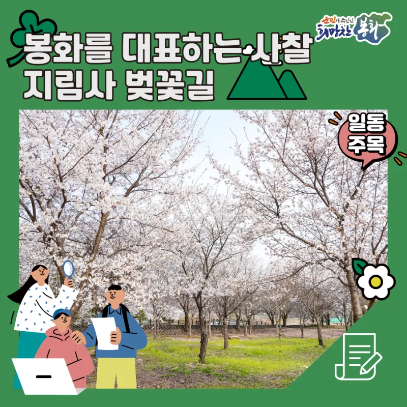 2024 봉화군 서포터즈] 봉화를 대표하는 사찰인 지림사에서 만난 ...