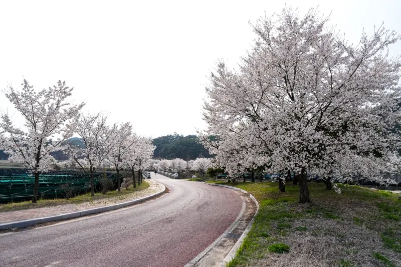 2024 봉화군 서포터즈] 봉화를 대표하는 사찰인 지림사에서 만난 ...