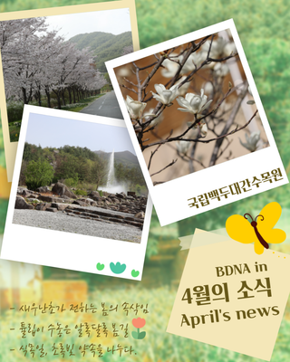 [소식] 국립백두대간수목원 4월 문화달력 안내드립니다.