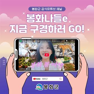 [나의 봉화 다이어리] 벚꽃명소부터 술먹방까지 또딘또딘의 봉화 봄 여행지 정복기