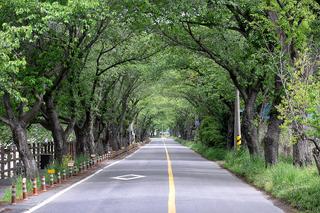 봄 소풍하기 좋은 명소 보령댐 물빛공원