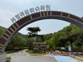 피톤치드 가득! 여유로움 가득! 보령 무궁화수목원