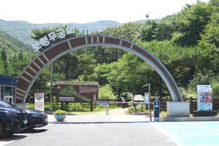 체험과 놀이가 가능한 보령 목재문화체험장