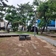 소나무 숲에서의 힐링 대천해수욕장 국민여가캠핑장