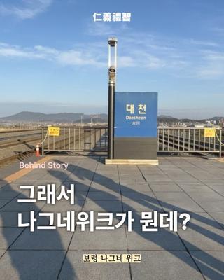 그래서 나그네위크가 뭔데? 보령 나그네위크 소개!