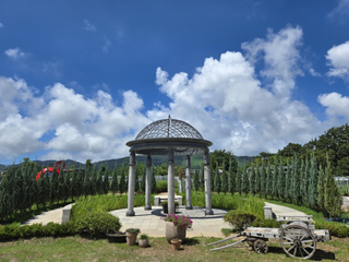 보령에서 자연과 함께하는 여름! 자연학습식물원과 장미정원