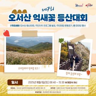 제7회 2025 보령시 오서산 억새꽃 등산대회 안내