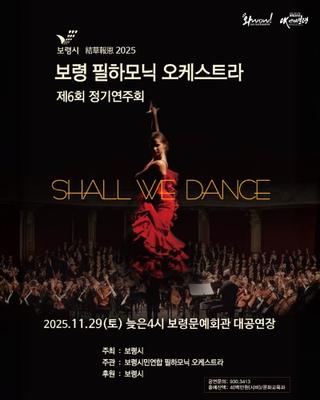 보령 필하모닉 오케스트라 제6회 정기연주회 안내