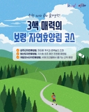 취향 따라 골라 즐겨보령! 3색 매력의 보령 자연휴양림 코스 ✨