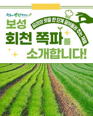 [보성특산물] 요리의 차이를 만드는 보성 회천 쪽파