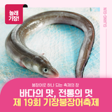 제19회 기장 붕장어축제