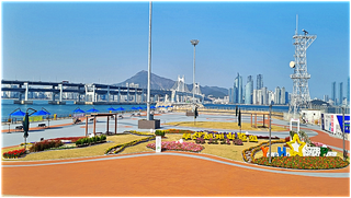 부산 남구 용호별빛공원 봄꽃전시 2030 부산세계박람회 유치 기원 엑스포 희망정원 이야기